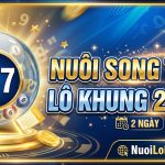 Nuôi song thủ lô khung 2 ngày thành công bất bại miễn phí