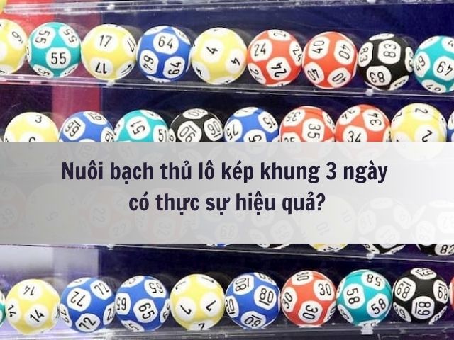 nuoi bach thu lo kep khung 3 ngay 247