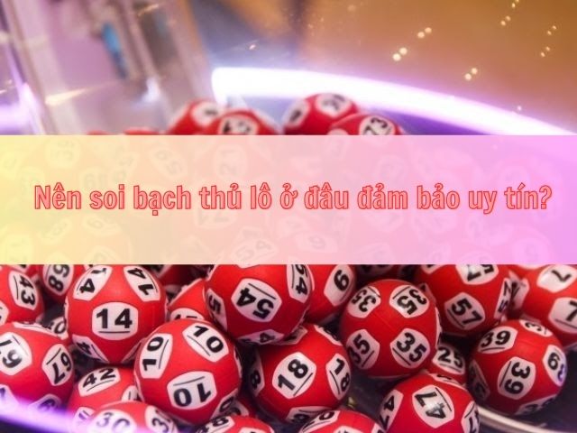 nuoi bach thu lo nuoi khung 3 ngay chuan 100