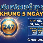 Nuôi dàn đề 10 số khung 5 ngày bất bại miễn phí