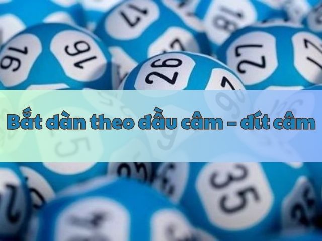 nuoi dan de 16 so khung 3 ngay