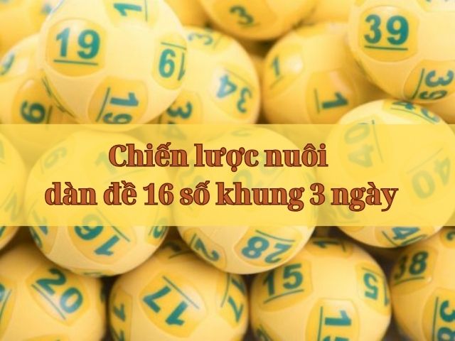nuoi dan de 16 so khung 3 ngay