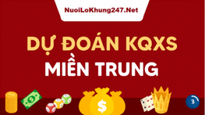soi cau mien trung