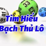 Bạch thủ lô là gì? Kinh nghiệm bắt bạch thủ lô trúng phóc