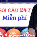 Soi cầu 247 chính xác 100 – Soi cầu 247 Rồng bạch kim hôm nay