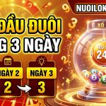 Nuôi đầu đuôi khung 3 ngày chiến thắng bất bại thành công