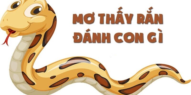 mo-thay-ran-la-diem-gi-con-so-may-man-khi-mo-thay-ran