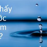 Ý Nghĩa Giấc Mơ Thấy Nước