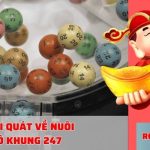 Bí kíp chia tiền nuôi lô khung 247 đơn giản, chuẩn xác nhất