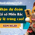 Soi cầu XSMB 24-3-2024 | Dự đoán kết quả XSMB ngày 24-3-2024