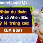 Soi cầu XSMB 25-3-2024 | Dự đoán kết quả XSMB ngày 25-3-2024