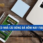 Tỷ lệ kèo nhà cái bóng đá hôm nay fi8868.onl Cập nhật từ các giải đấu lớn
