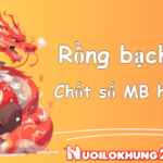Rồng bạch kim – Soi cầu 247 Rồng bạch kim chính xác 100