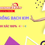 Soi cầu Rồng Bạch Kim chính xác 100 hôm nay miễn phí