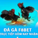 Đá Gà F8BET | Xem Đá Gà Trực Tiếp Hôm Nay Nhận Ngay 58K
