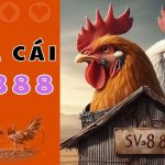 Sv388 trực tiếp các trận đấu đá gà hấp dẫn nhất Việt Nam 