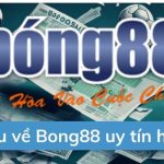 Bong88link – Nền Tảng Xem Trực Tiếp Bóng Đá Hàng Đầu Châu Á