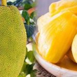 Nằm mơ thấy ăn mít đánh số gì? Giải mã giấc mơ chi tiết