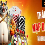 Trải Nghiệm Thế Giới Cá Cược Đỉnh Cao Cùng 23win