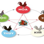 Hôm Nay Đá Gà Gì Tốt Nhất? Bí Quyết Tìm Trận Hay, Kèo Chuẩn