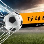 Bongdalu – Nền Tảng Theo Dõi Thể Thao Trực Tuyến Được Yêu Thích