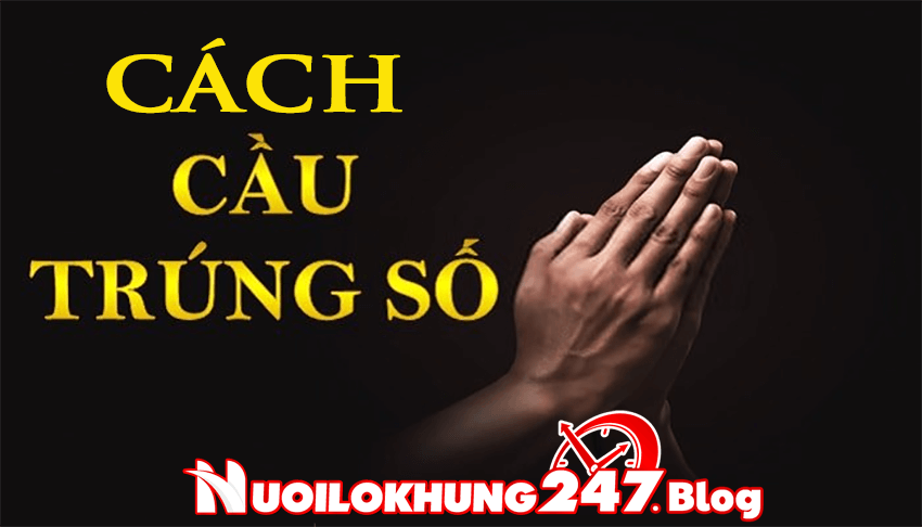 cach cau trung so doc dac