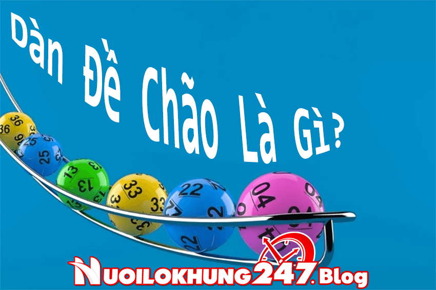 dan-de-chao-la-gi