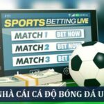 Top 5+ Nhà Cái Cá Độ Bóng Uy Tín Nhất, An Toàn 100%
