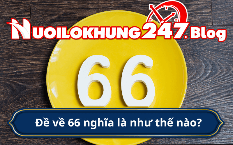 Đề về kép 66 là như thế nào