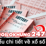 Xổ số Vietlott là gì? Trúng xổ số vietlott 6/55 có dễ không