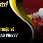 Thể Thao Vin777 – Sự Chọn Lựa Tuyệt Vời Dành Cho Người Chơi