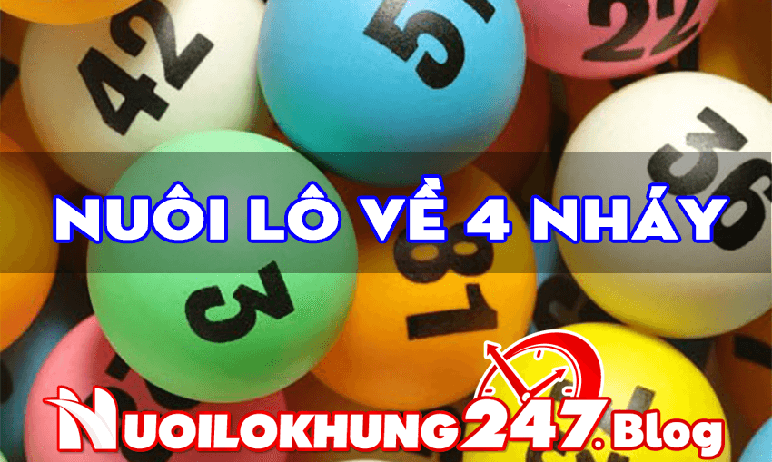 Nuôi lô về 4 nháy