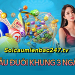 Soi Cầu 247 TV –  Nuôi Đầu Đuôi Khung 3 Ngày Bất Bại Chiến Thắng