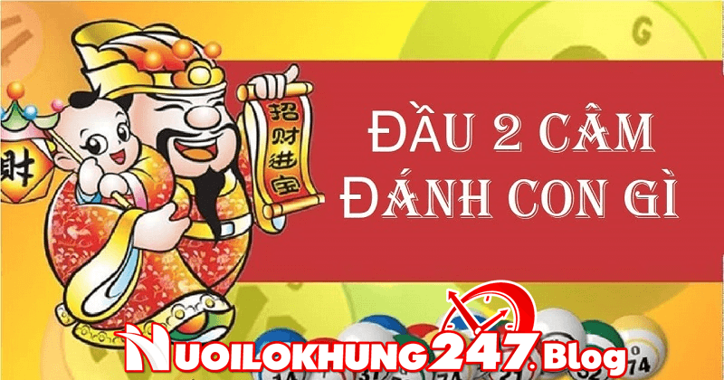 Tìm hiểu về lô đầu 2 câm hôm sau nên đánh con gì