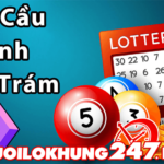 Bật mí cách soi cầu hình quả trám chính xác hiệu quả nhất