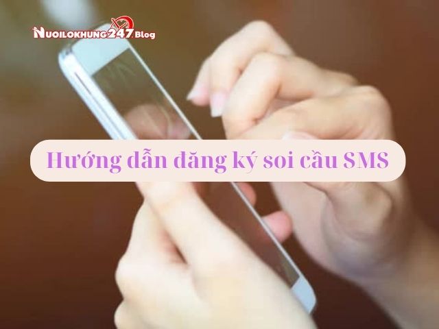 dang ky soi cau sms 