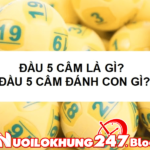 Trong bảng KQXS xuất hiện đầu 5 câm thì hôm sau nên đánh con gì?