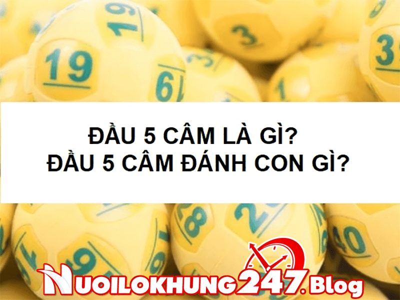 khi lo dau 5 cam thi hom sau danh con gi