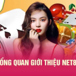 Net88 – Cổng Game Đổi Thưởng Tuyệt Vời, Đối Tác Đáng Tin Cậy