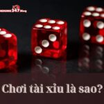 Hướng dẫn cách chơi tài xỉu và bí quyết để tăng tỷ lệ thắng