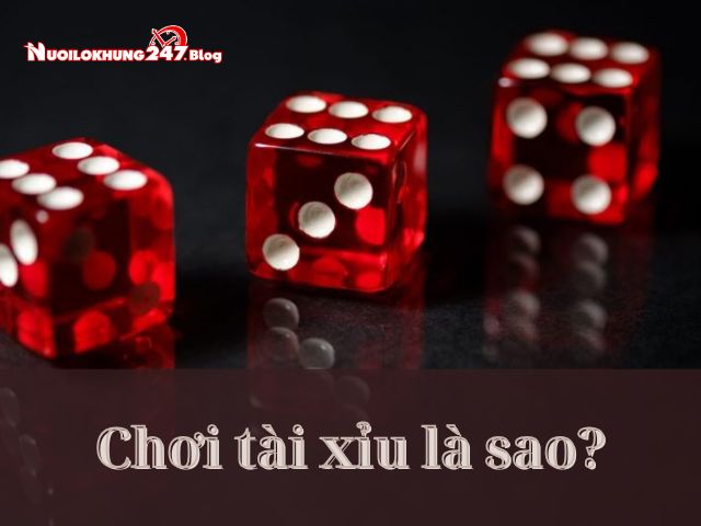 cach choi tai xiu