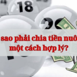 Khám phá kinh nghiệm chia tiền nuôi lô hiệu quả khi chơi lô đề