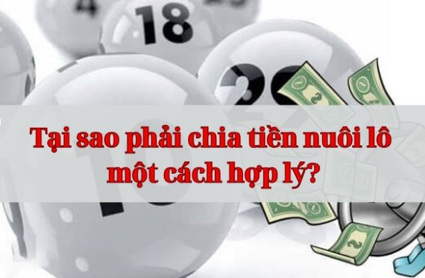 kinh nghiệm chia tiền nuôi lô