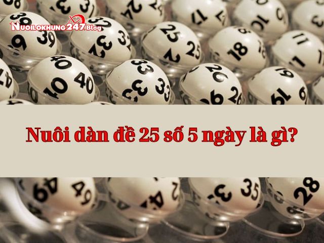 nuoi dan de 25 so khung 5 ngay