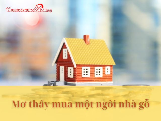mo thay mua nha danh con gi 