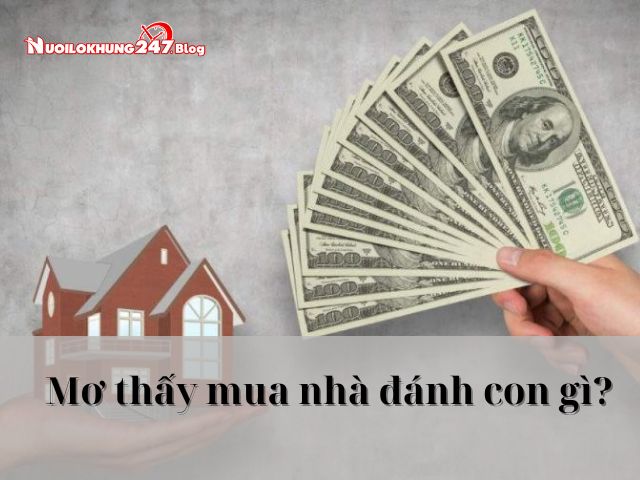 mo thay mua nha danh con gi 