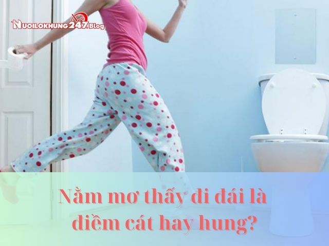 nam mo thay di dai