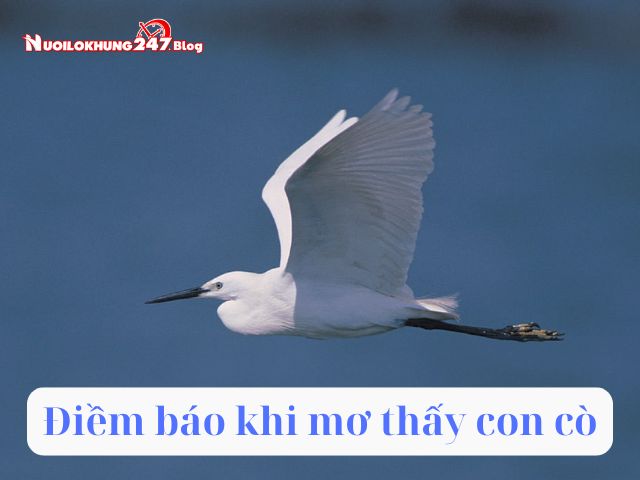 mơ thấy con cò