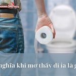 Ý nghĩa khi mơ thấy đi ỉa là gì? Nên đánh con số nào?