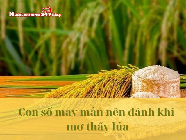 Mơ thấy lúa